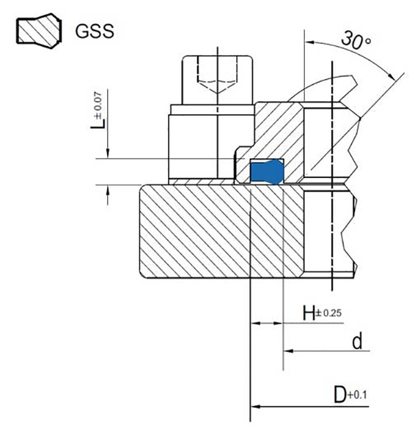 схема статического уплотнения (кольцо) GSS - Netseals